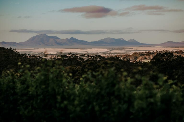 View of the Stirling Ranges from Castle Rock Estate