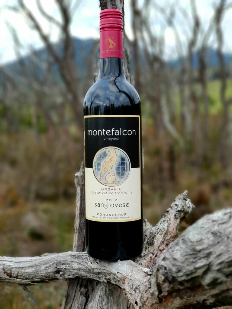 Montefalcon Vineyard - Sangiovese