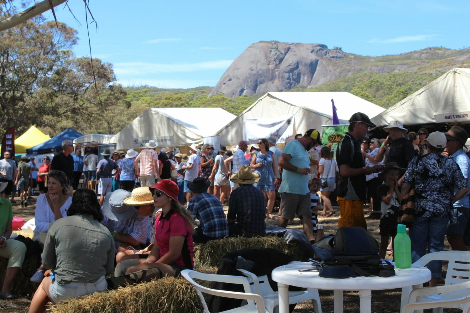 Vineyards in the Porongurups