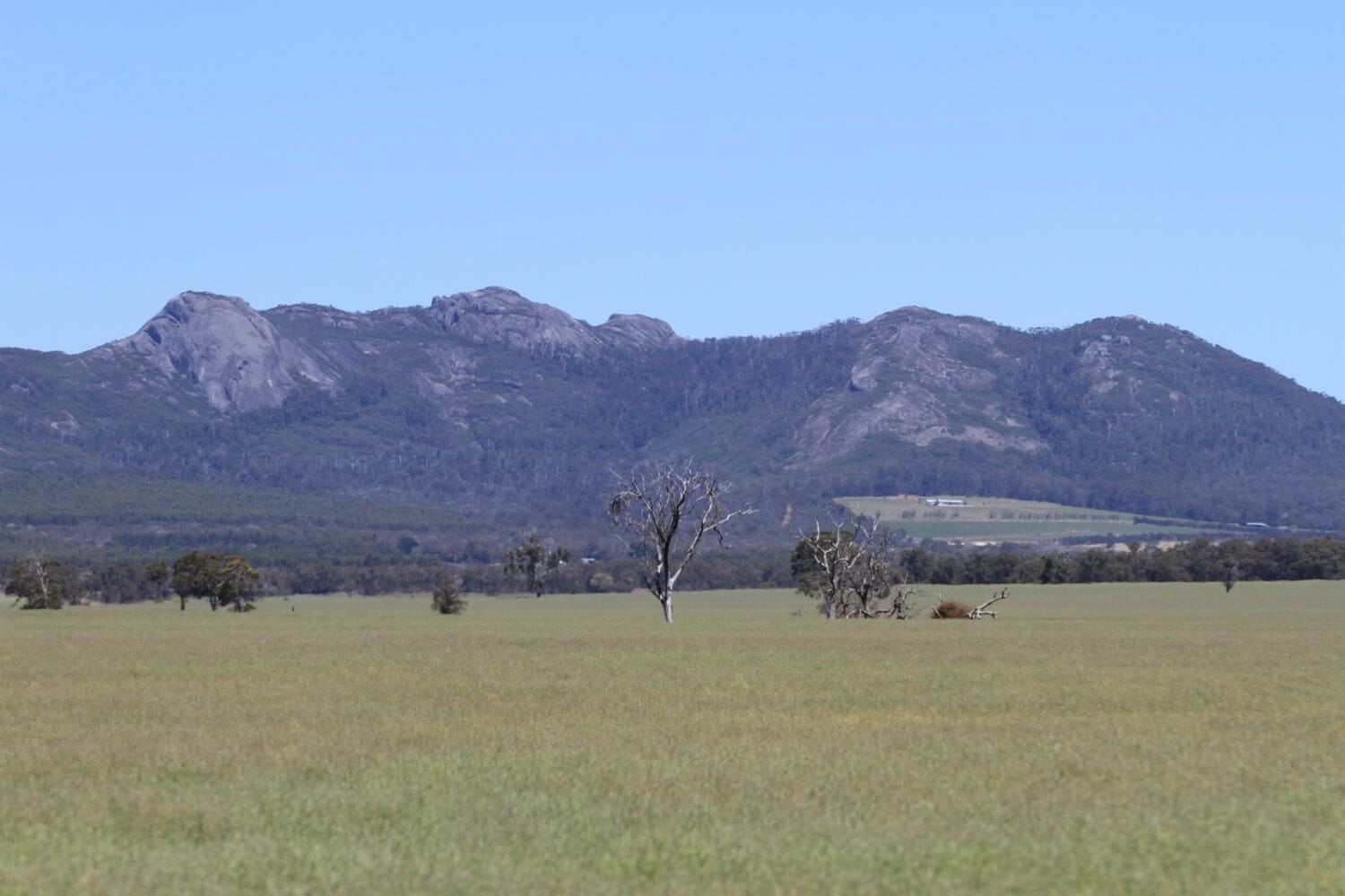 Granite Skywalk, Castle Rock - Porongurup National Park - Credit Down Under Discoveries