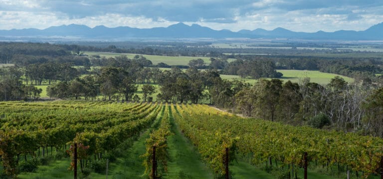 Spectacular views to the Stirling Ranges from the Sleeping Lady Private Retreat - Porongurup