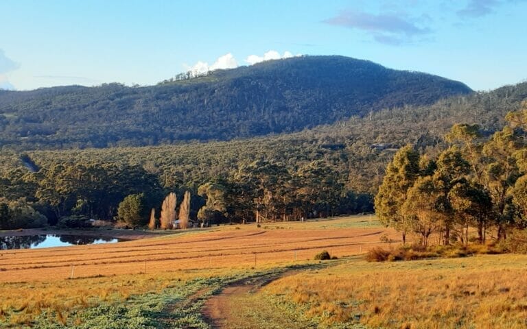 Thorn's Mountain Retreats