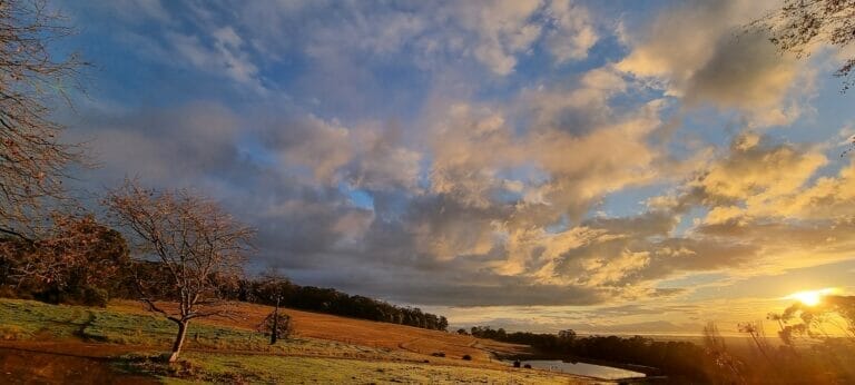 Thorn's Mountain Retreats