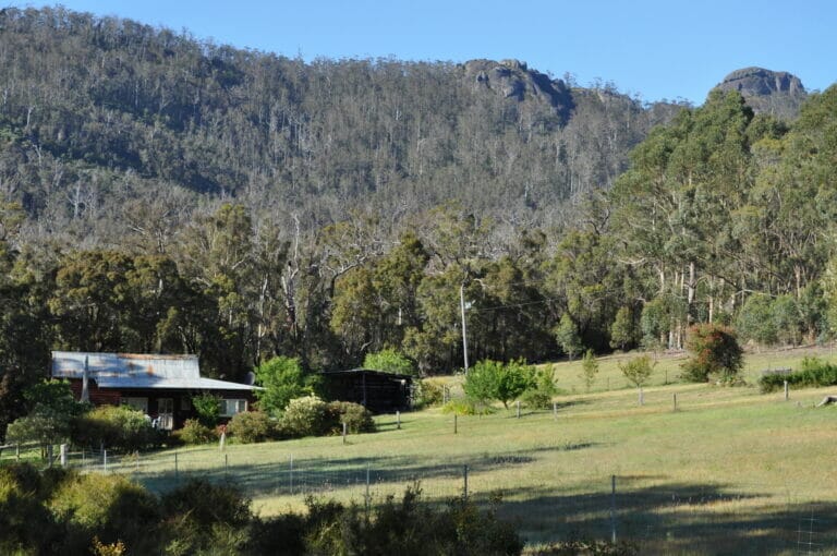 Thorn's Mountain Retreats