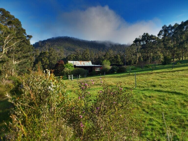 Thorn's Mountain Retreats