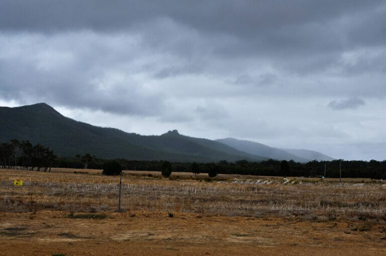 The view from Woodlands Distillery