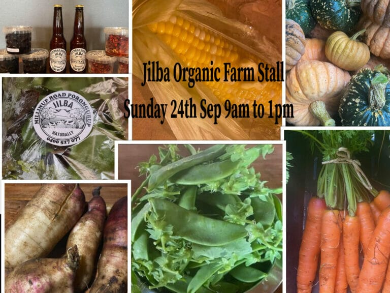 Jilba Organic Farm Stall on Sunday 24 September 2023