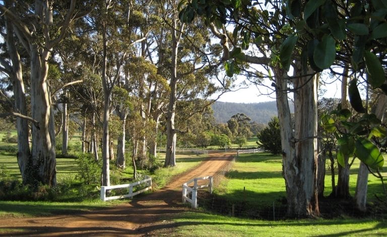 Karribank Mountain Country Wellness Retreat