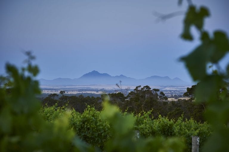 The view from Castle Rock Estate